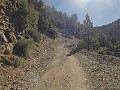 2014 Mt Baldy Cali 034